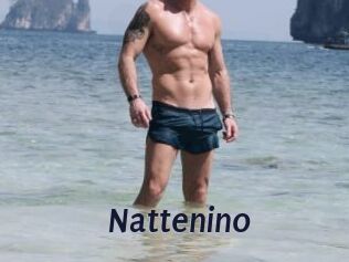 Nattenino