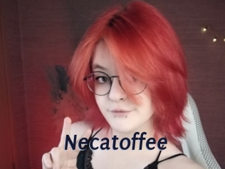 necatoffee Site Cul