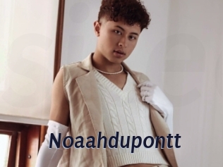 noaahdupontt Site Cul