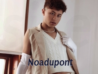 noadupont Site Cul