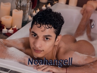 noahangell Site Cul
