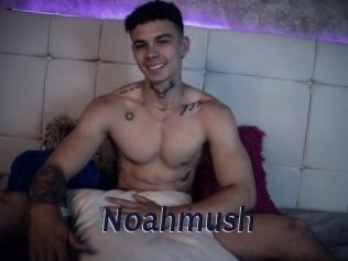 noahmush Site Cul