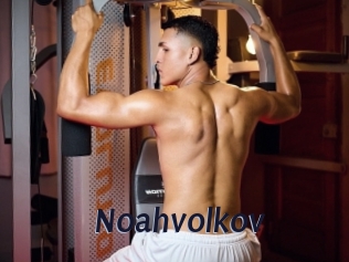 noahvolkov Site Cul
