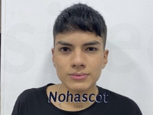 nohascot Site Cul