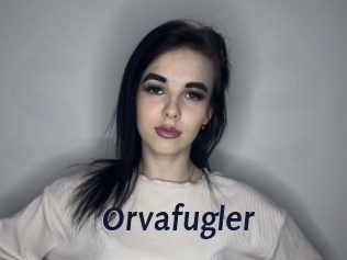Orvafugler