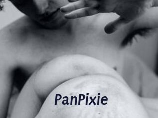 PanPixie