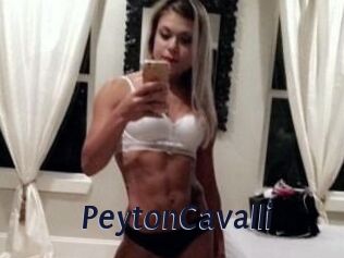 Peyton_Cavalli