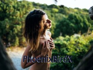 PhoenixBirdX