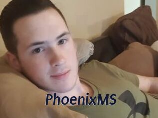 PhoenixMS