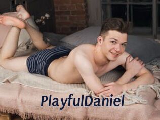 PlayfulDaniel