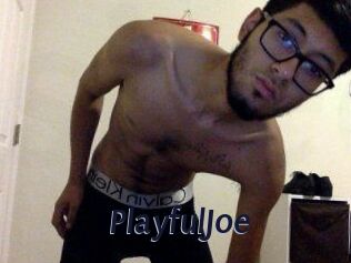 PlayfulJoe
