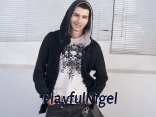 PlayfulNigel