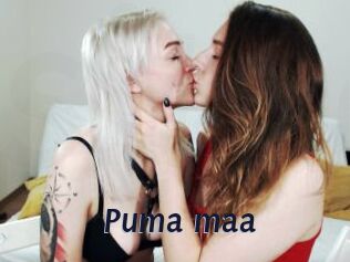 Puma_maa