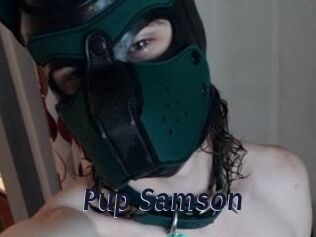 Pup_Samson