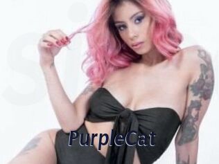 PurpleCat