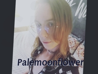 Palemoonflower