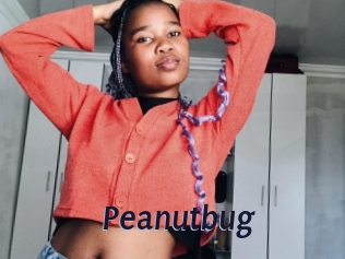 Peanutbug