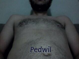 Pedwil