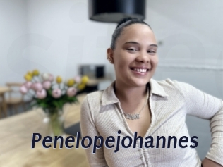 Penelopejohannes