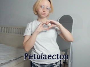 Petulaecton