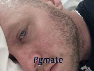 Pgmate