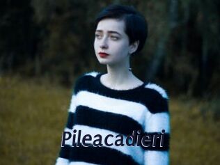 Pileacadieri