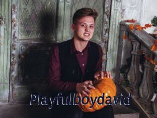 Playfulboydavid
