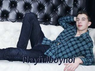 Playfulboynoi