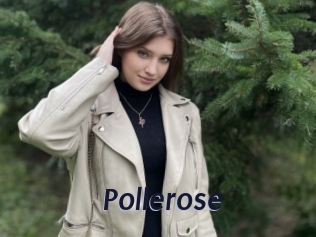 Pollerose