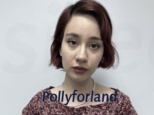 Pollyforland