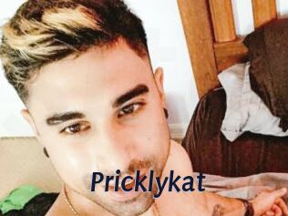 Pricklykat