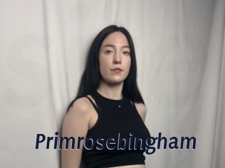 Primrosebingham