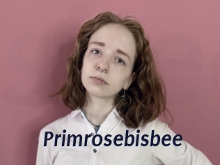 Primrosebisbee