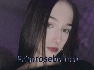 Primrosebranch