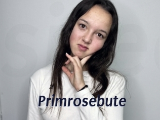 Primrosebute