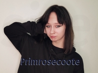 Primrosecoote
