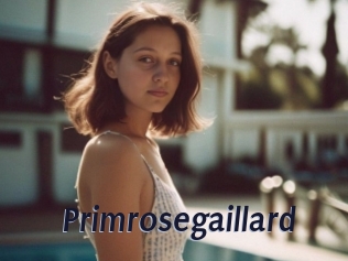 Primrosegaillard