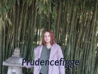 Prudencefigge