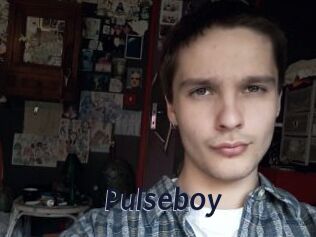 Pulseboy