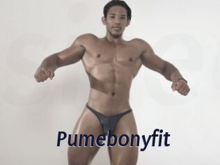 Pumebonyfit