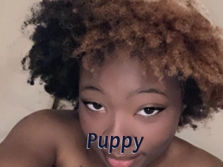 Puppy