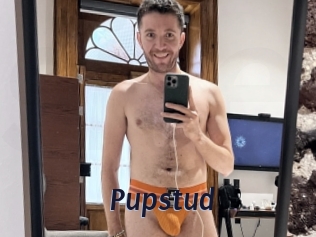 Pupstud