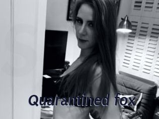 Quarantined_fox