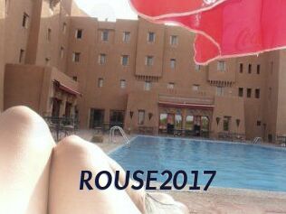 ROUSE2017