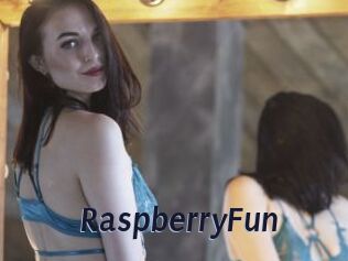 RaspberryFun