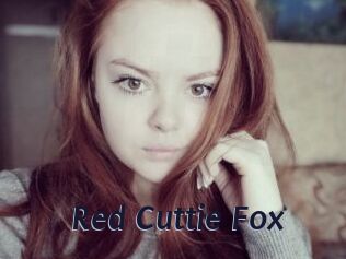 Red_Cuttie_Fox