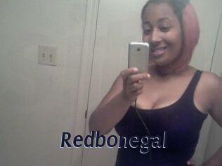 Redbonegal