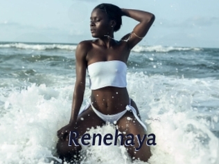Renehaya