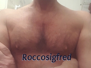 Roccosigfred
