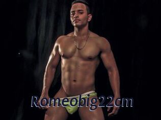 Romeobig22cm